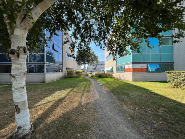 Pad tussen kantoorpanden in bedrijventerrein Leidse Rijn met bomen en gras aan weerszijden.